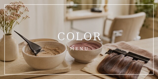 COLOR MENU