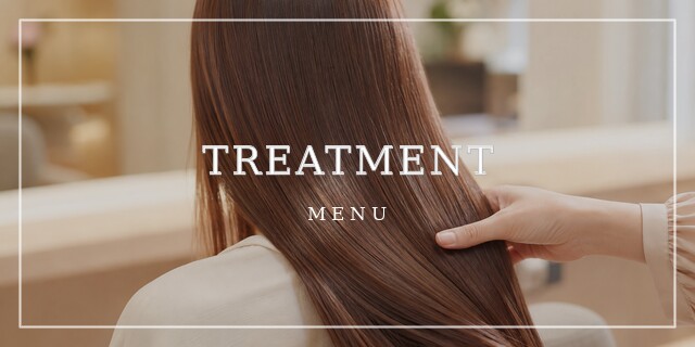 TREATMENT MENU