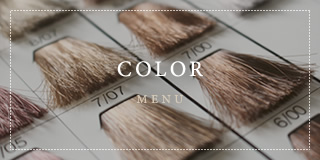 COLOR MENU