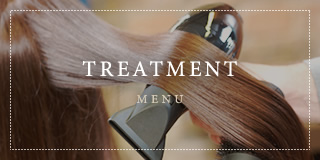 TREATMENT MENU